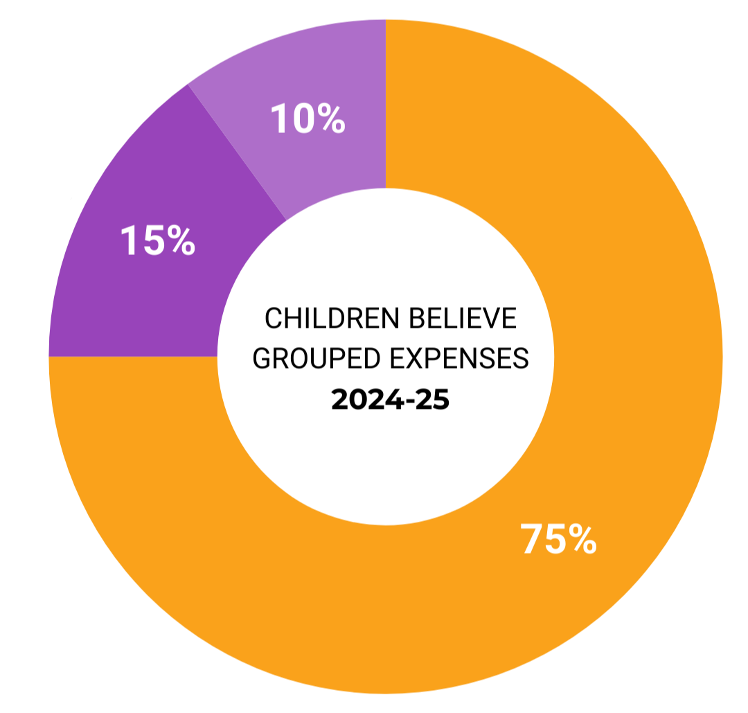 Ring diagram showing grouped expenses for 2024/2025