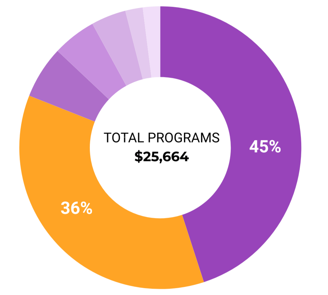 Ring diagram showing total expenses for 2024/2025