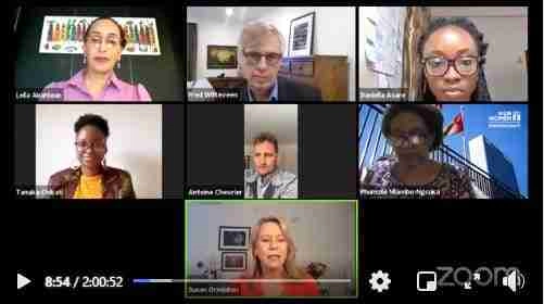 Snip from Zoom call Panel Discussion on Addressing Irregular Migration of Children in Central America and Mexico